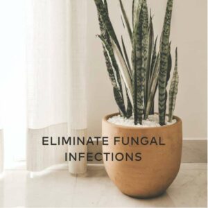 eliminate fungal infections treatment