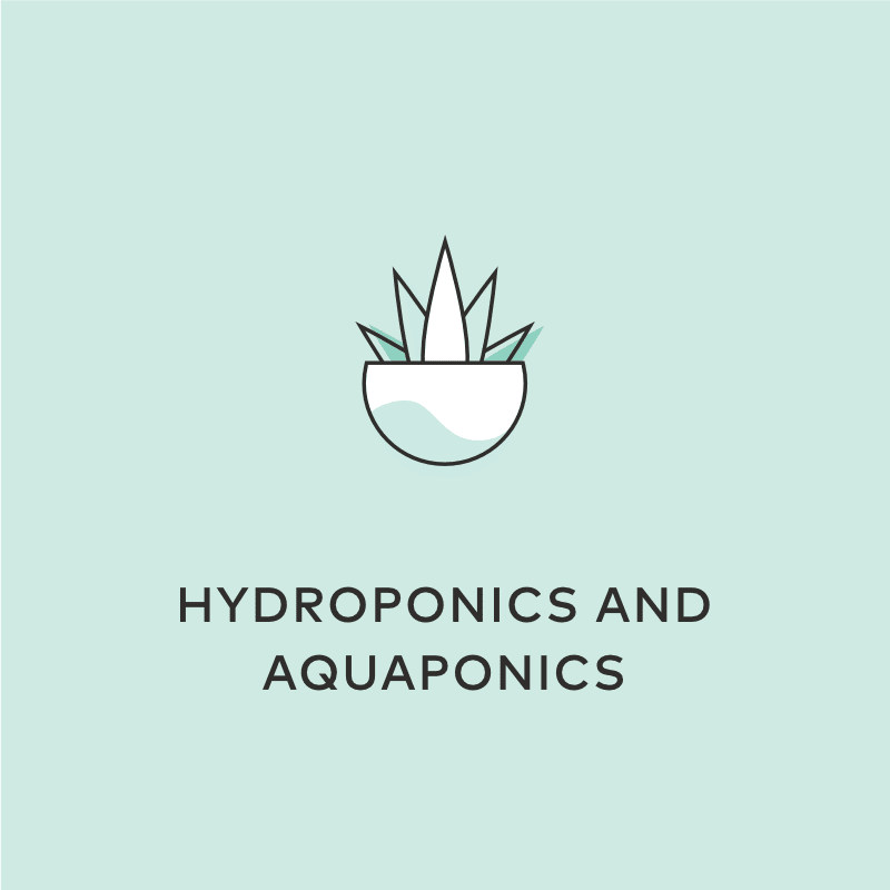 Hydroponics Aquaponic H2O2 3%