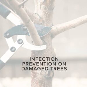 infection prevention trees