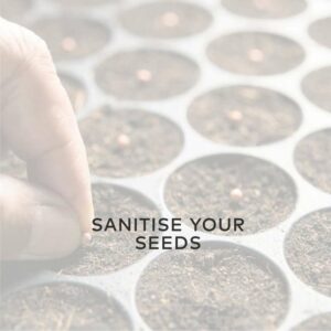 Sanitise seeds