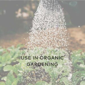 use in organic gardening hydrogen peroxide